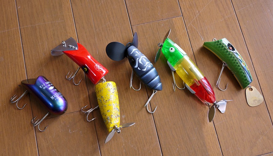 2026年1月14日 入荷情報。。 | バス・ポンド「新着入荷情報。」