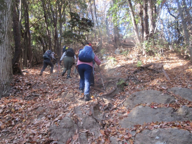 石尊山・官の倉山・腰越城址、飯田神社周回 | 山 行く