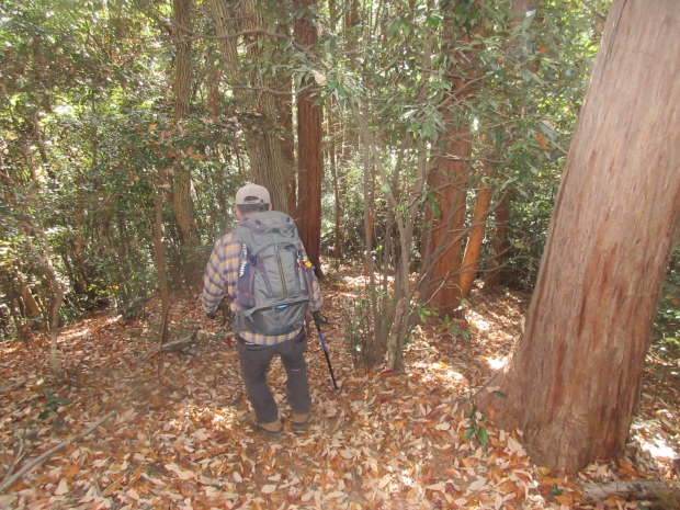 石尊山・官の倉山・腰越城址、飯田神社周回 | 山 行く