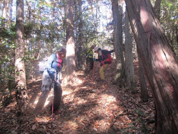 石尊山・官の倉山・腰越城址、飯田神社周回 | 山 行く