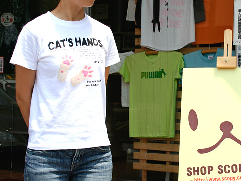 CAT'S HANDS