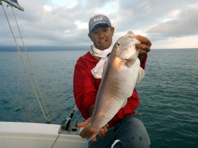 10月22日（日） アマダイ ＆ 一つテンヤ 大型・白アマダイ（正真正銘