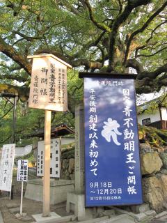 国宝青不動御開帳 | 青い日記帳