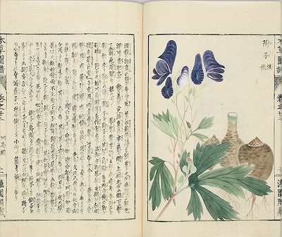 岩崎灌園の『本草図譜』を採用した特殊切手「自然の記録シリーズ