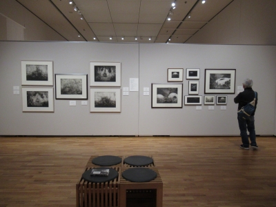 須藤康花―光と闇の記憶―」 | 青い日記帳