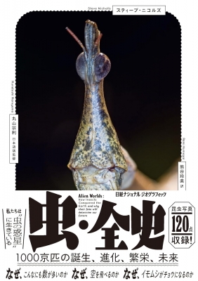 昆虫フィールド 16冊 昆虫フィールド 16冊