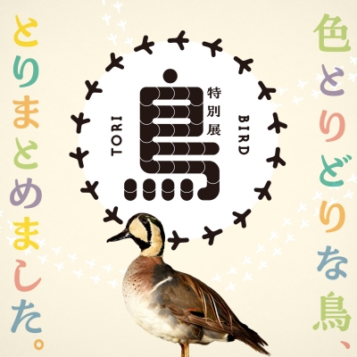 国立科学博物館 特別展「鳥」オリジナルグッズ | 青い日記帳