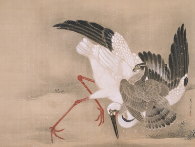 特別展「鷹のおでまし」 | 青い日記帳