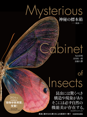 昆虫の超美麗写真集『神秘の標本箱 ‐昆虫‐』 | 青い日記帳