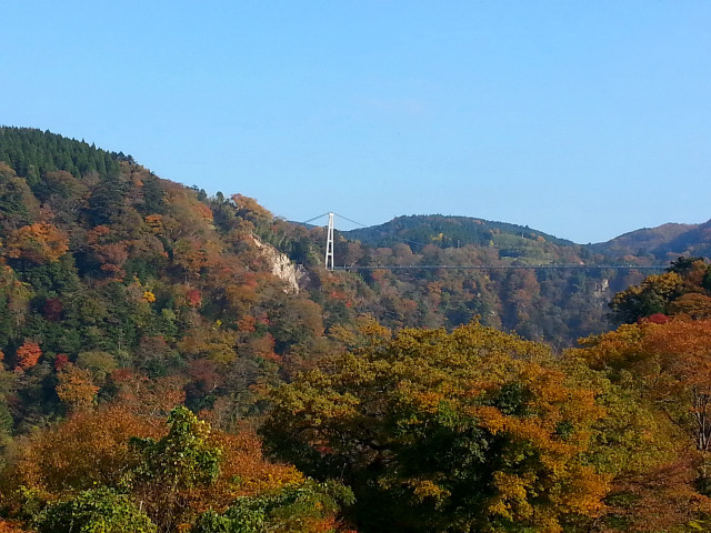 20121108_145045.JPG