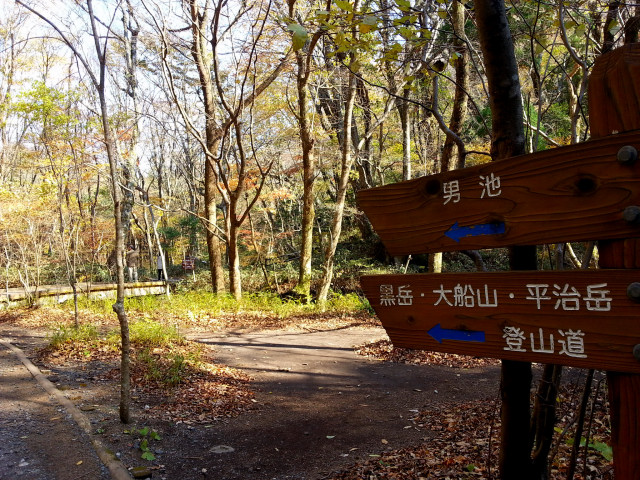 20121108_134432.JPG