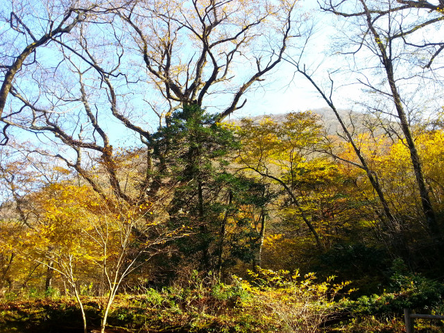 20121108_134901.JPG