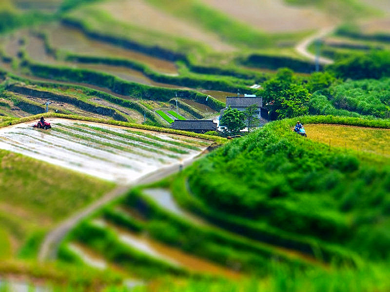 2012-05-29_2767-tiltshift.jpg