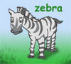 Zebra