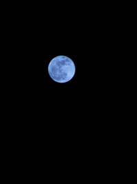 bluemoon 礭