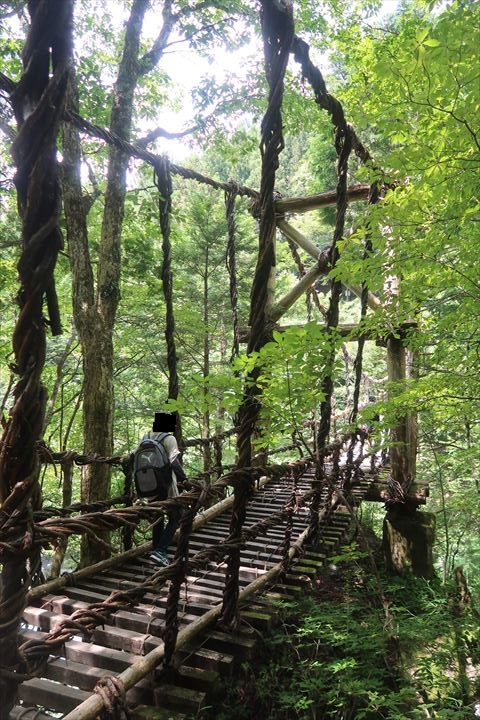 秘境と情熱の聖地<祖谷のかずら橋&眉山公園> 楽人の山歩道