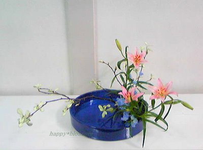 20100414観水型 | happy*blossom.blog