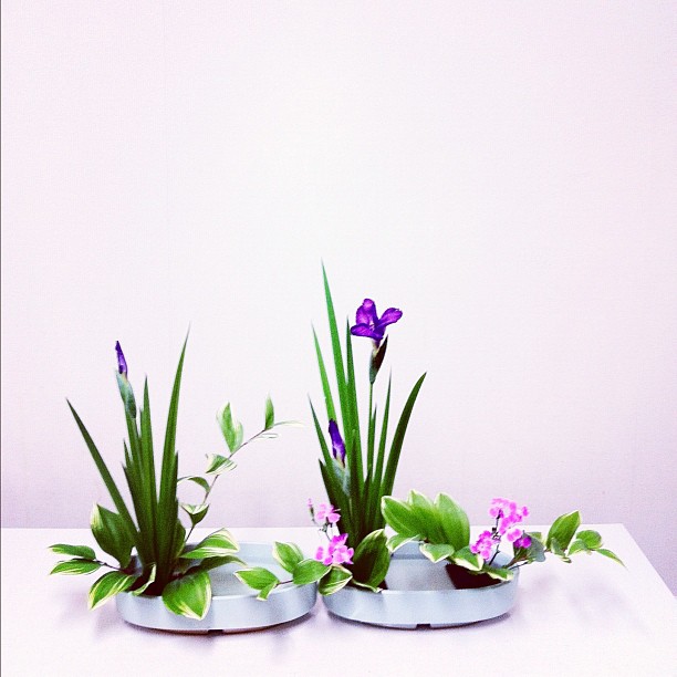 ② 織部花器 琳派織部 花器 小原流 琳派調 織部花器 長方形 華道 生け花 織部焼 花器 小原流 琳派調 織部花器 瓶花直立型 春らしい華やか