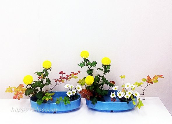 20121107 琳派調いけばな ピンポン菊、ドウダンツツジ、スプレー