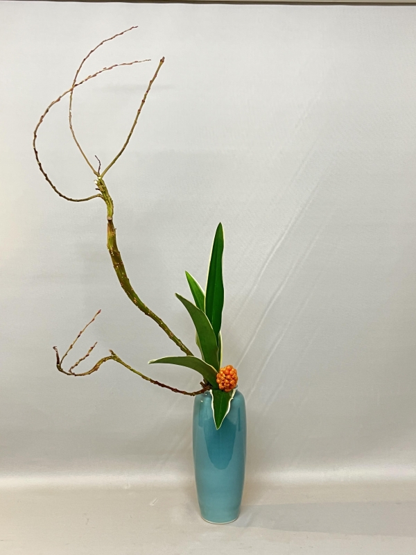 20151203 石化柳と万年青の瓶花 | happy*blossom.blog