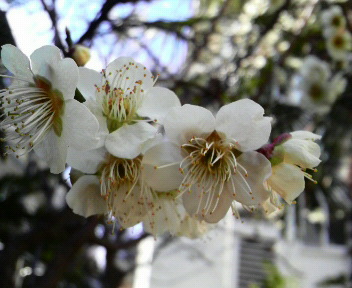 2012040110140000.jpg