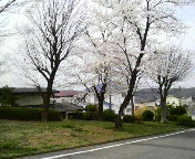 2013032912220000.jpg