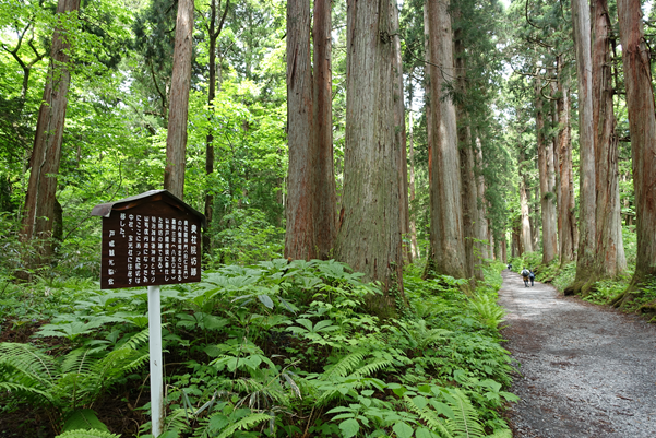 戸隠三十三窟など踏査 | WALK あばうと 日本4,000山