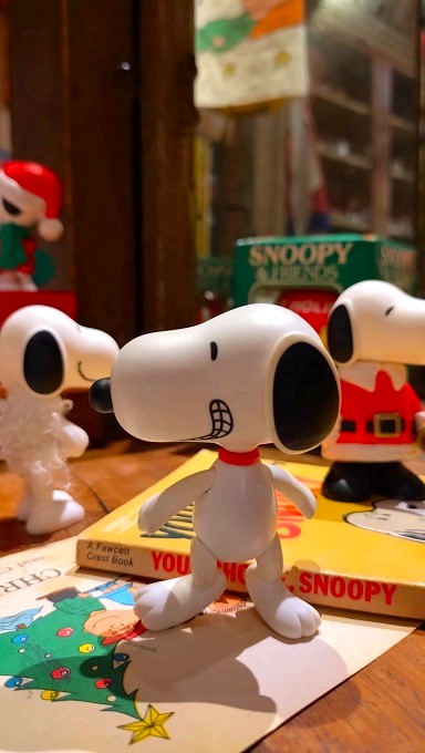 インディヒナ | AMERICAN JUNK STYLE INDIGENA