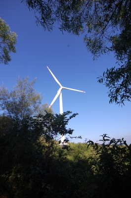  15m x 15dia Wind Turbine Lamma Island Recyclable Power Scheme - efficient or PR question