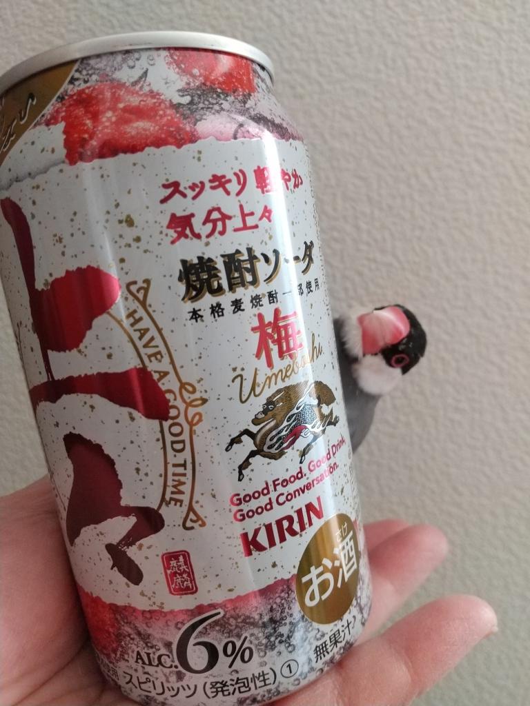 焼酎ソーダ梅