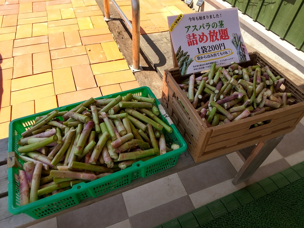 とれた小屋ふじい農場直売所 アスパラの茎 詰め放題 | ナオロマツ食堂