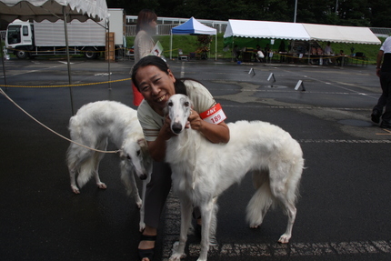 結婚のご報告 | ボルゾイ子犬ブリーダー大関京子の犬ブログ