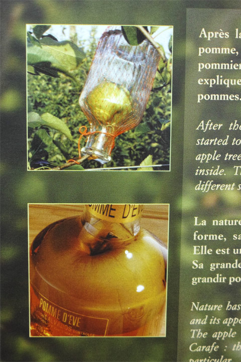 りんごのブランデーに驚いた！ | ゆったりねっと