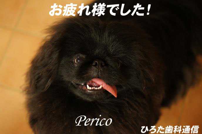 Perico_edited-1.jpg