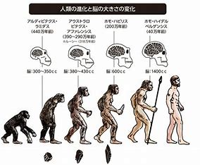 二足歩行と人類 | 石見銀山通信