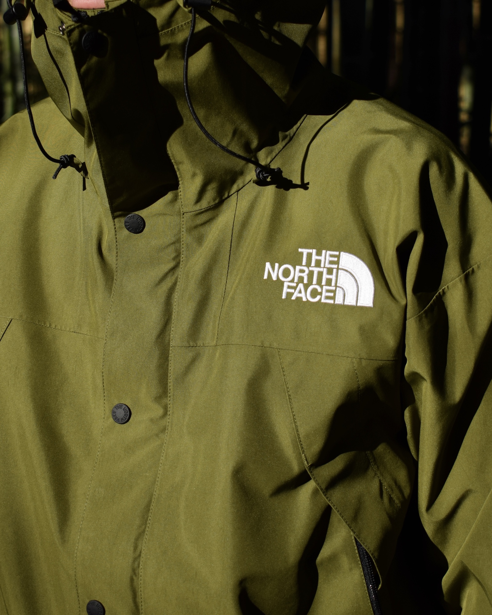 Forest Olive | the Apartment