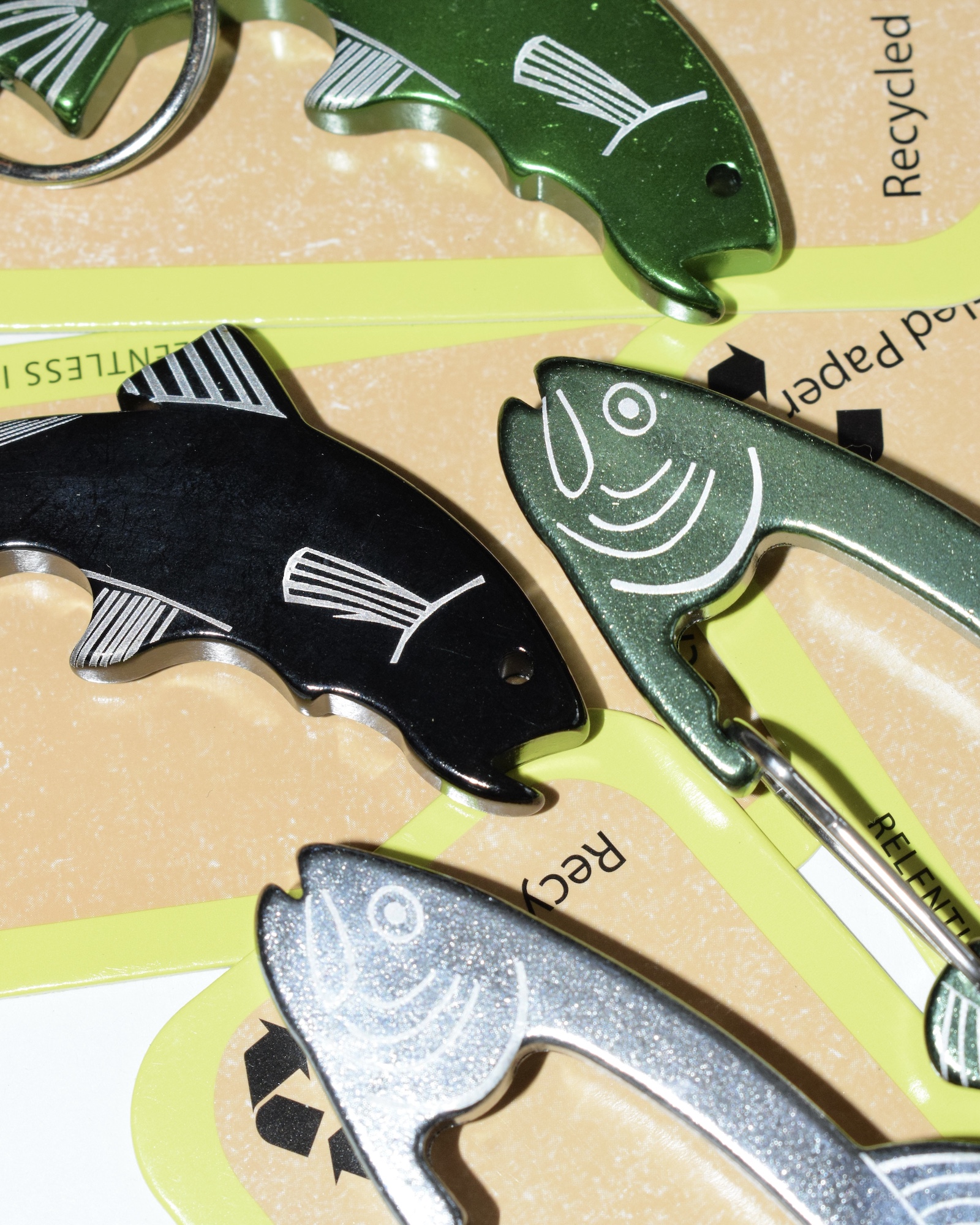 Fish | the Apartment