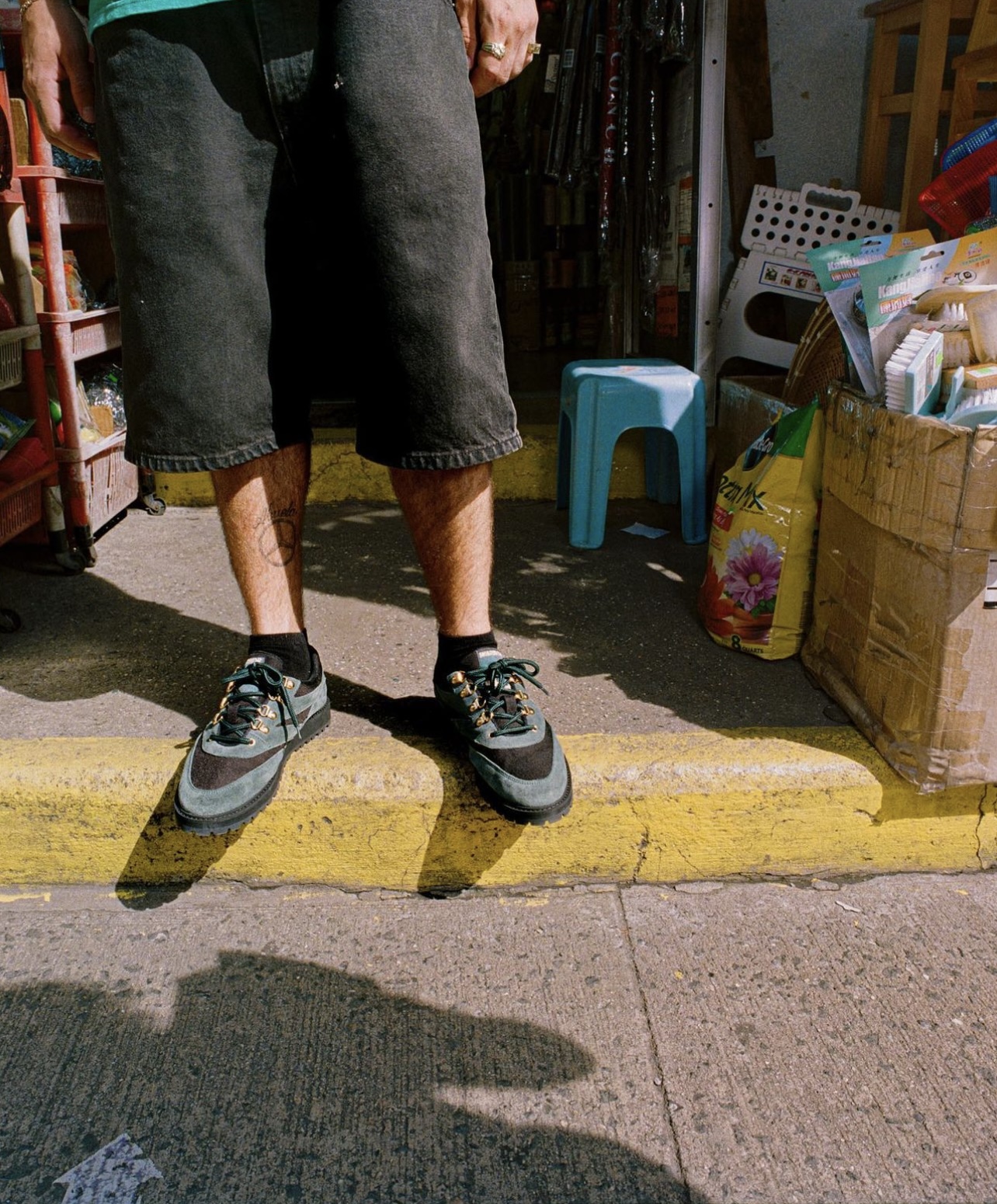 Warrior | the Apartment