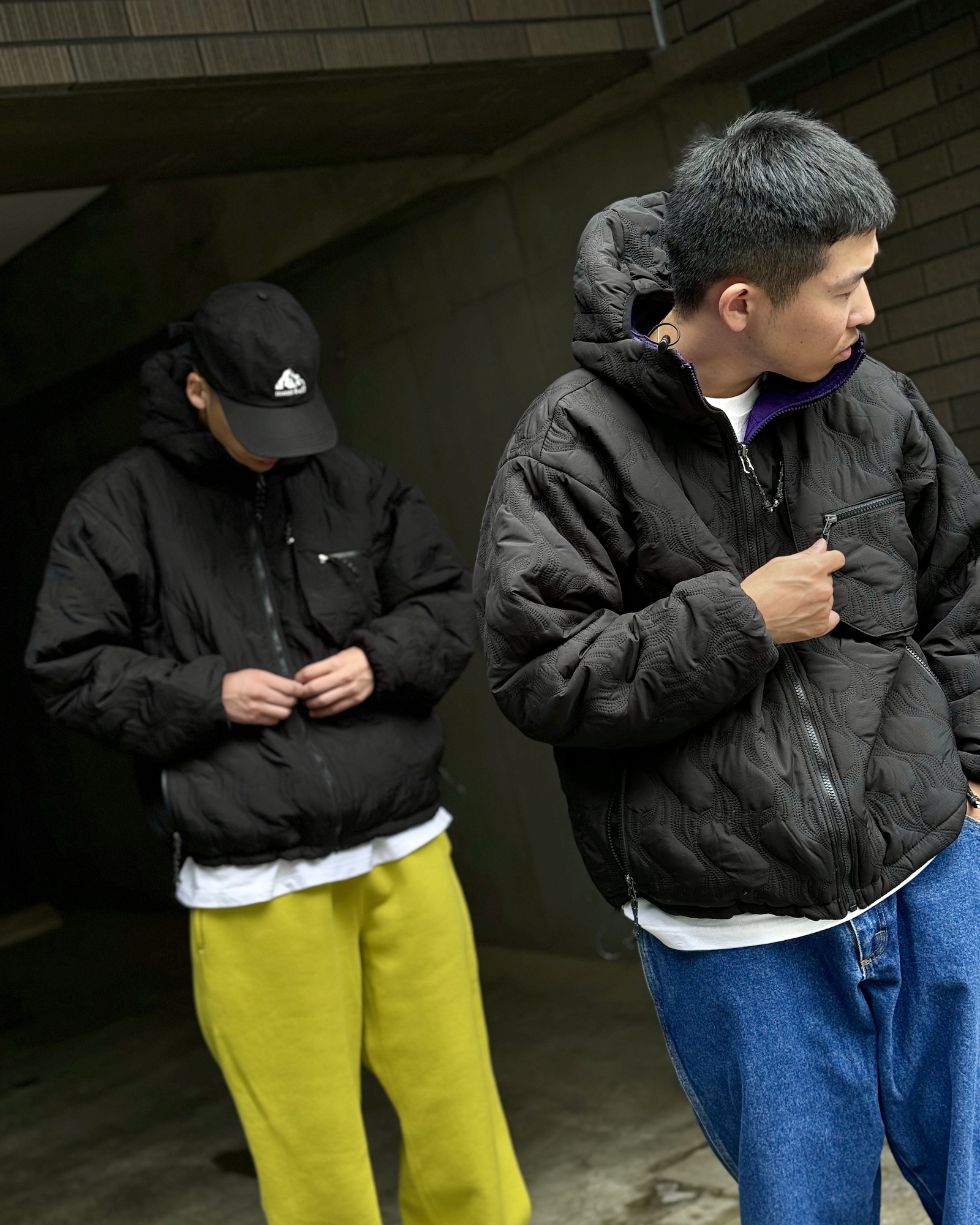 CEASE | the Apartment CEASE | the Apartment