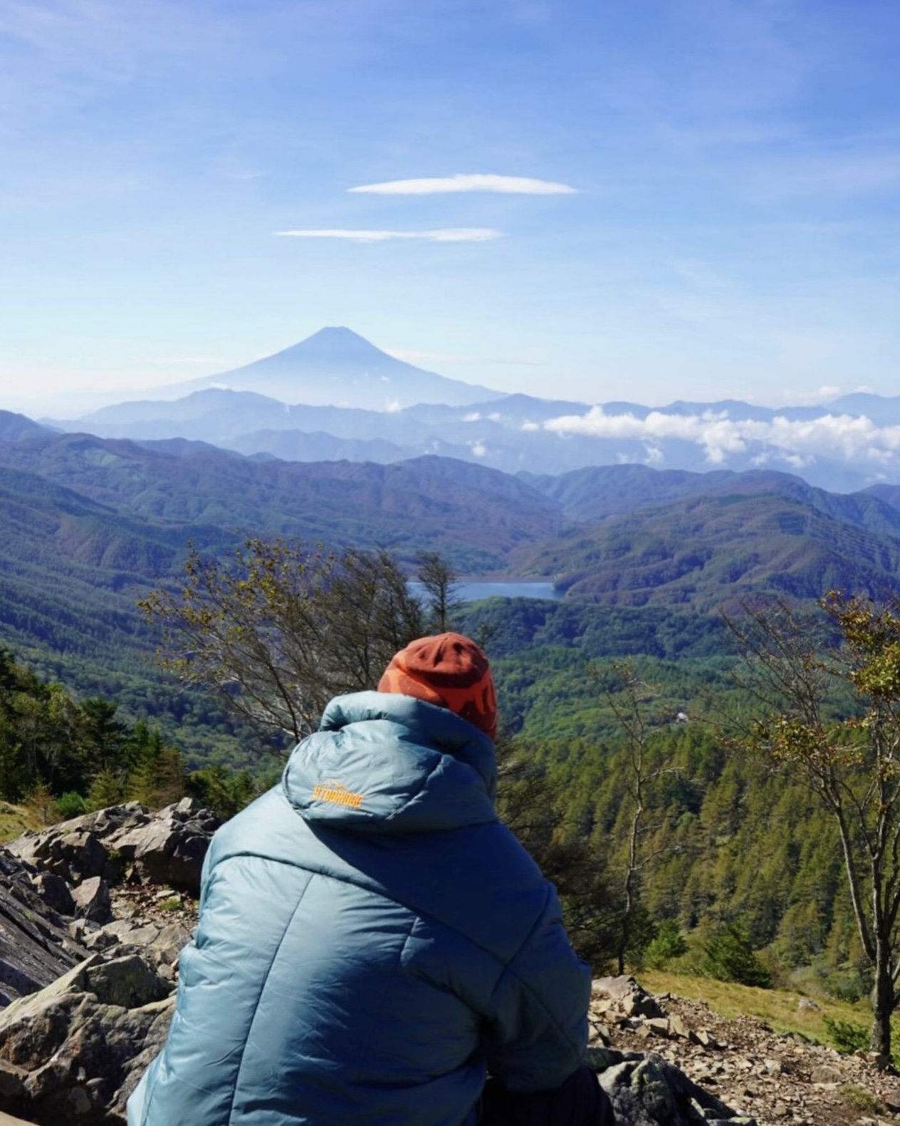オンライン抽選は明日までとなります | the Apartment