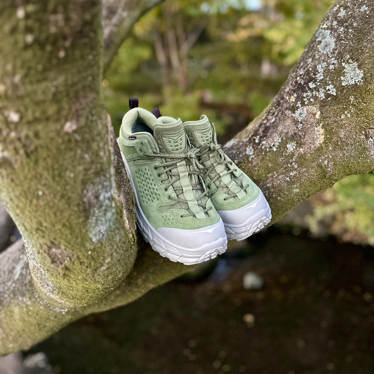 GORE-TEX & Vibram | the Apartment