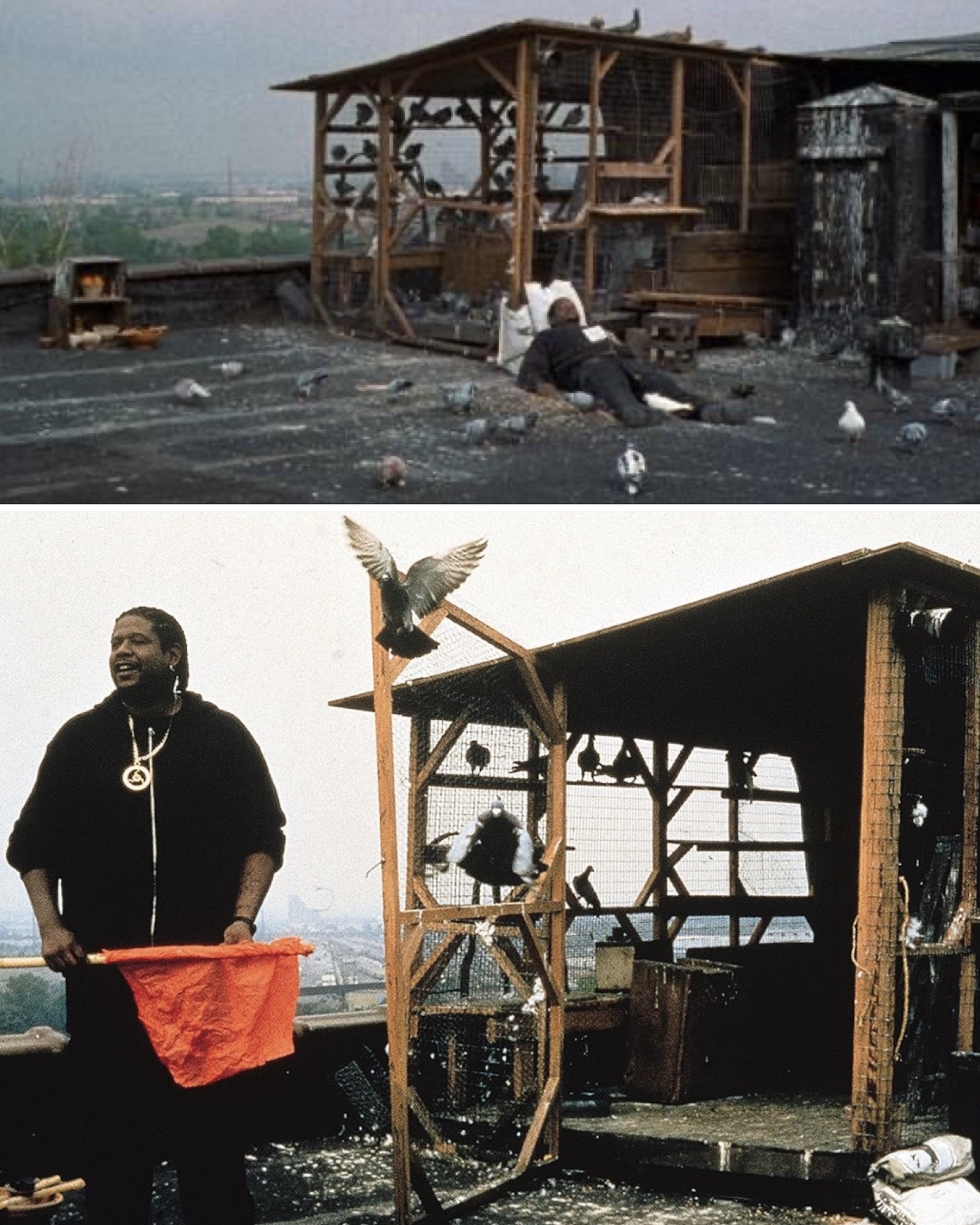 Skate Muzik × Ghost Dog 25th Annivarsary Collection | the
