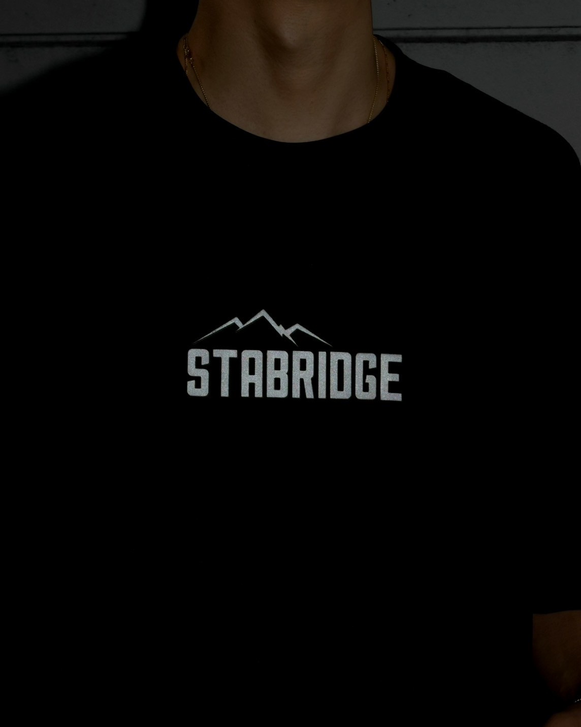 stabridge the apartment 8周年　tシャツ 黒　XL the Apartment