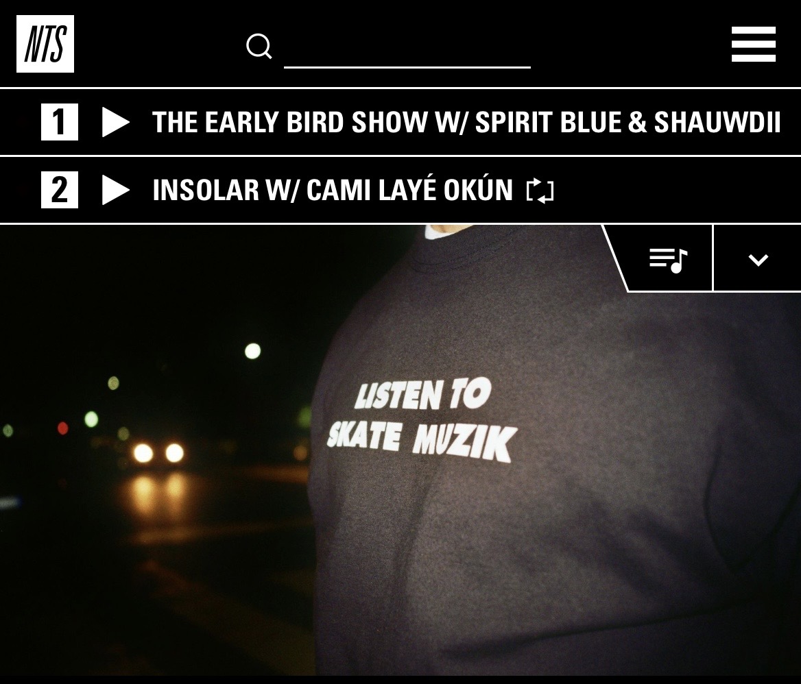 Skate Muzik | the Apartment