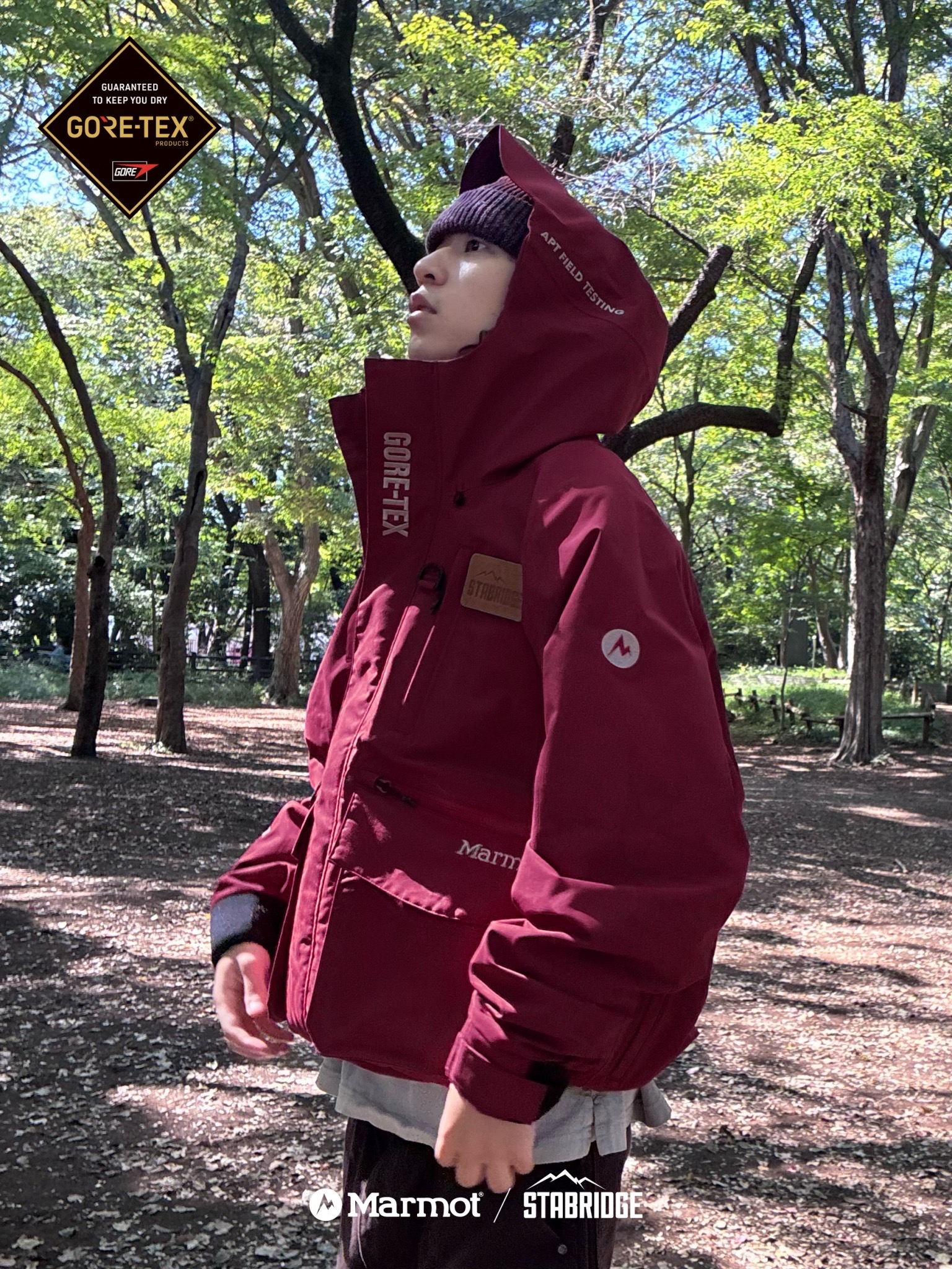 STABRIDGE × Marmot