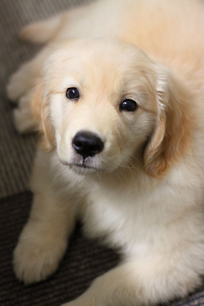 寒波の頃には☆