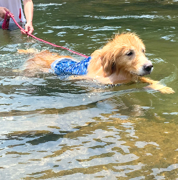 アツい夏☆