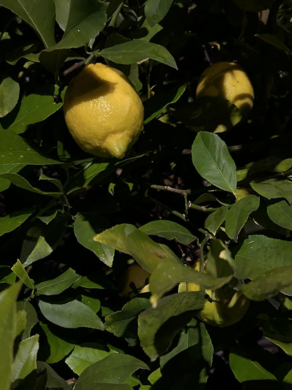 今年もありがとうございました☆
