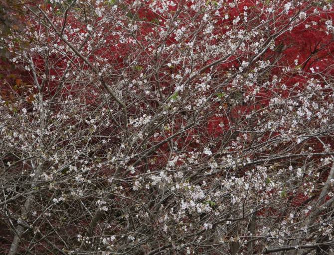 下げ渋っています　大幅下落中