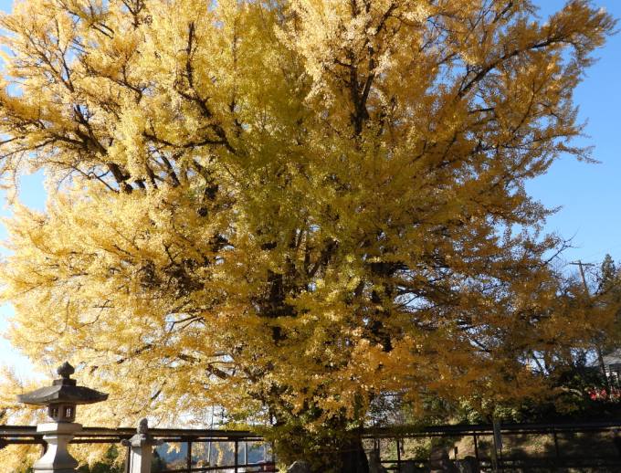 期待外れ　反発中